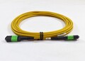 12 fiber MPOapc - MPOapc 5meters Telia